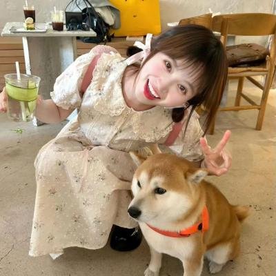 π海报